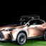 Lexus-Studien auf dem Tokyo Auto Salon - Naturburschen mit Öko-Touch
